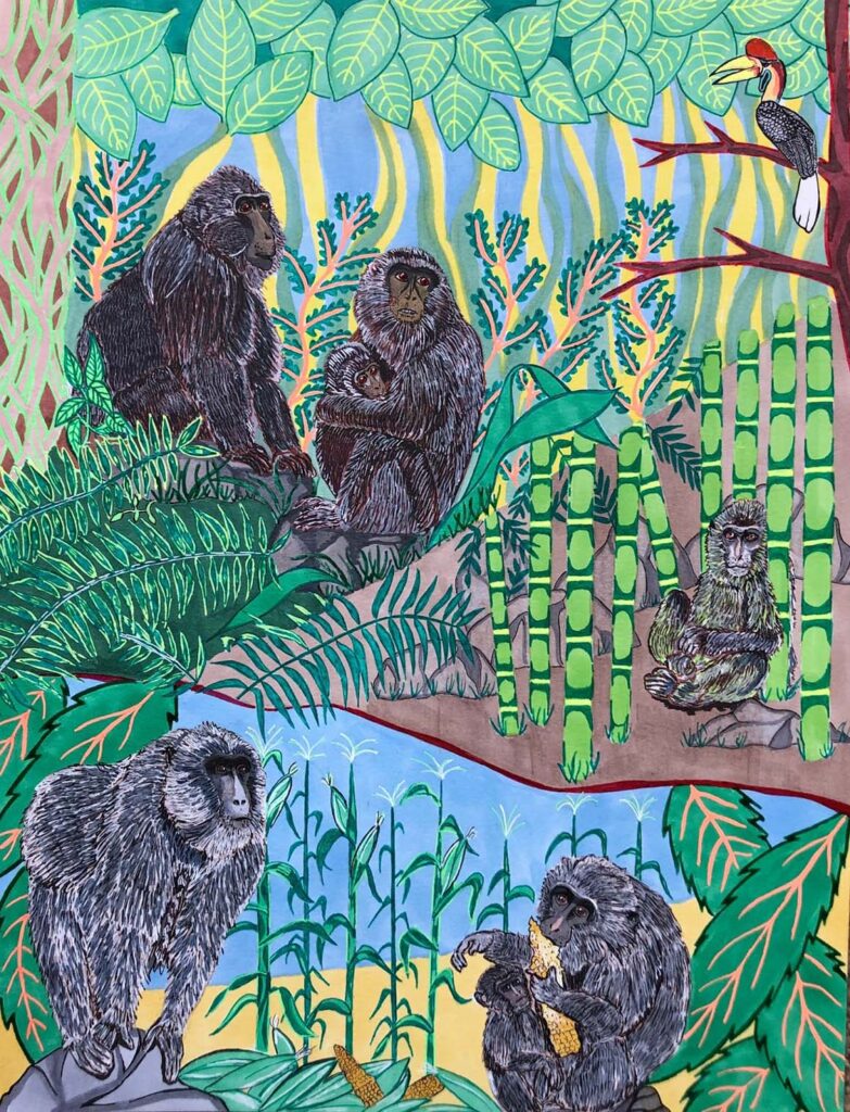 The Anthropologist-Artist