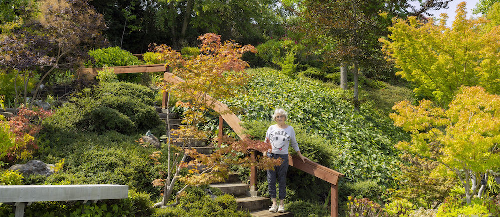 The gardens Kenny built