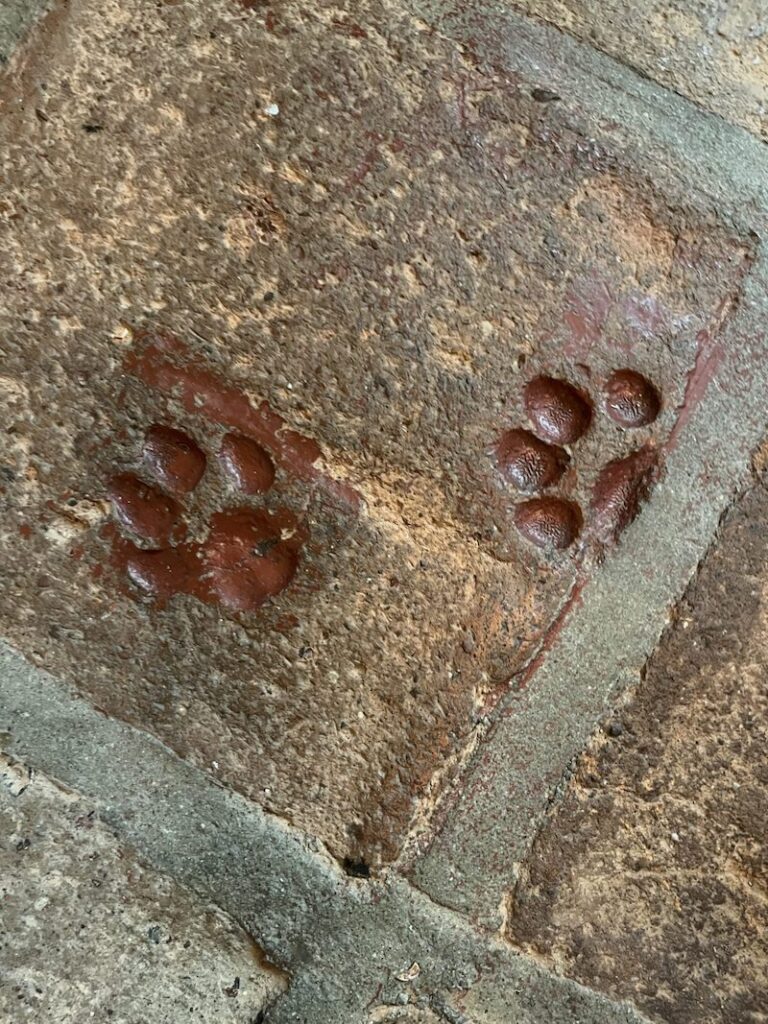 At our feet