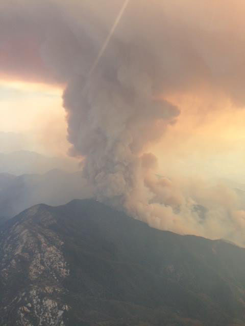 Wildfire watchdogs
