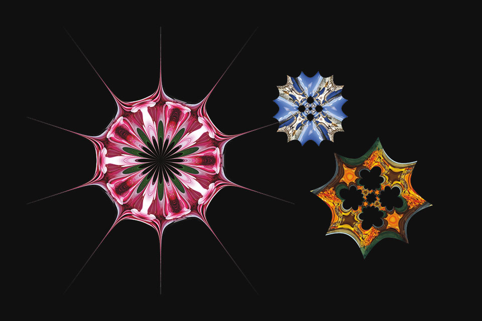 Symmetry reflects us