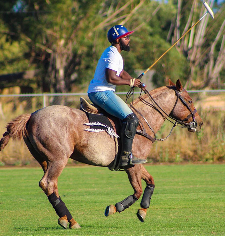 Horse, stick, ball