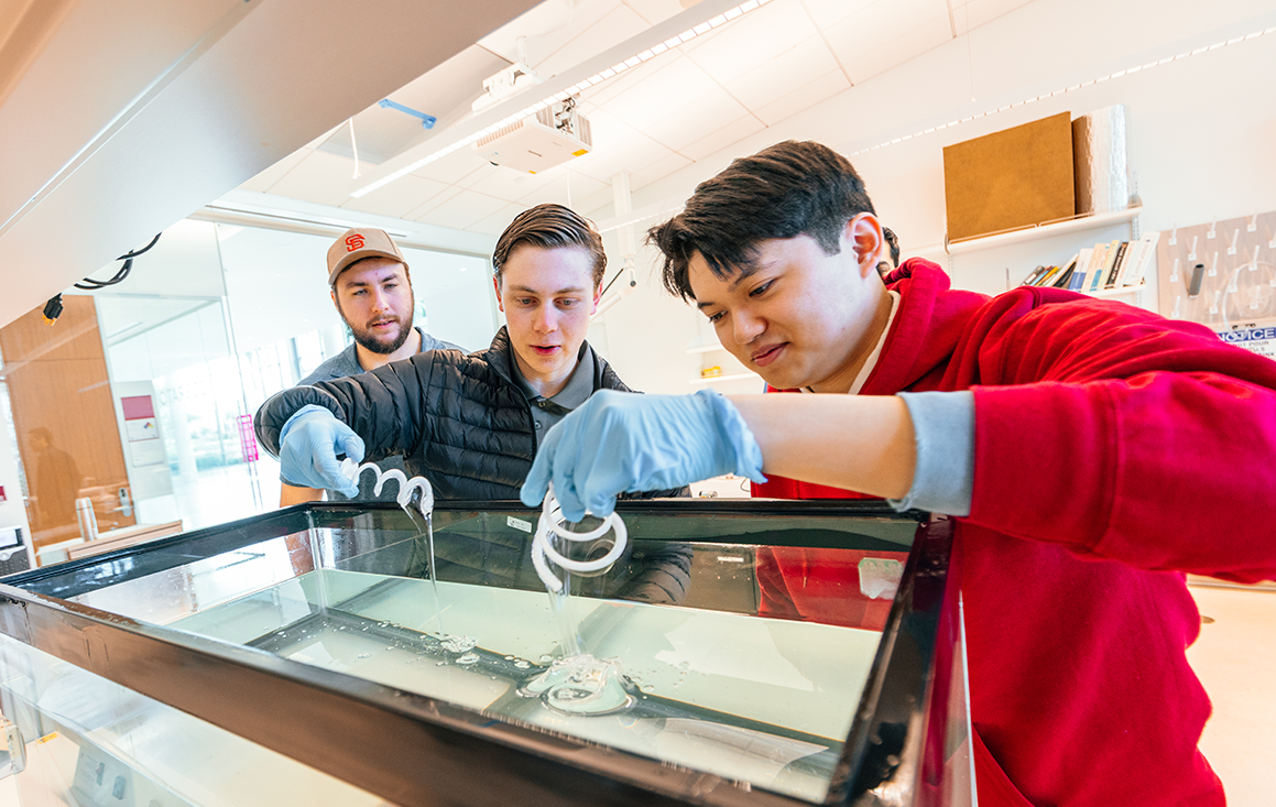 Students pull flagella models out of a tank of silicon oil in a lab.